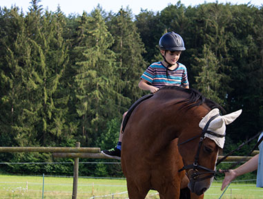 Bild Kinder reiten