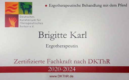 Zertifizierte Fachkraft Ergotherapeutin